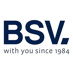 Bsv Electronic