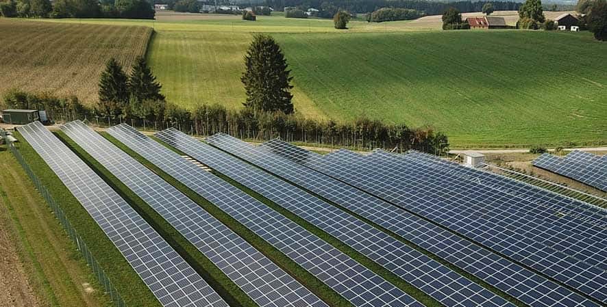 Go Solarwine: soluciones agrovoltaicas en la viticultura