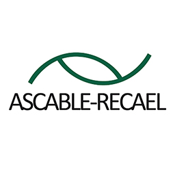 
                                            Ascable                                        